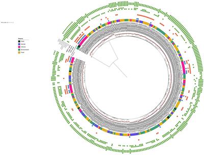 Multi-approach methods to predict cryptic carbapenem resistance mechanisms in Klebsiella pneumoniae detected in Central Italy